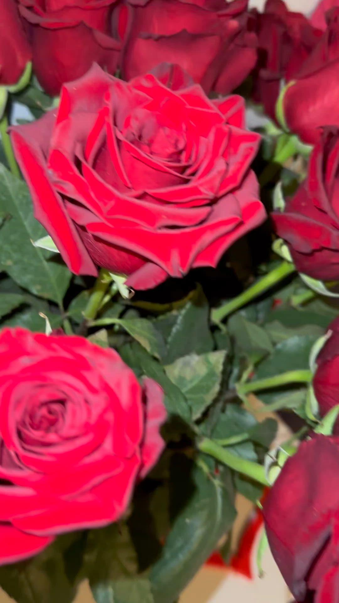 Eternal Elegance Vibrant Floral Array